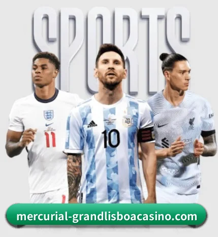 新葡京娱乐场五大内容板块,覆盖赛事直播与实时比分